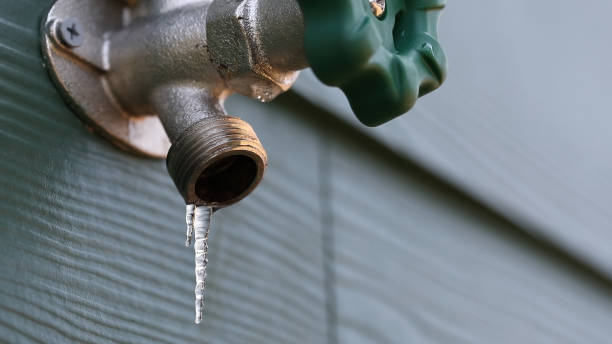 Best Sewer Line Repair  in Estero, FL
